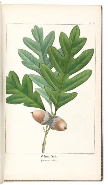 (BOTANICAL.) Francois Andre Michaux; and Thomas Nuttall. The North American Sylva;